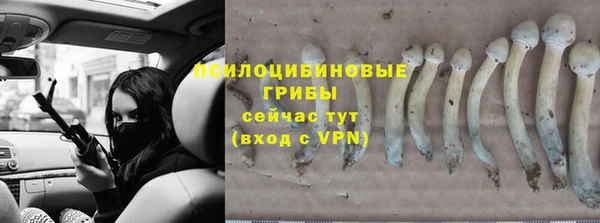эйфоретик Горняк