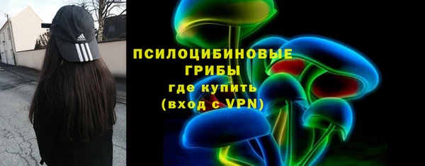 эйфоретик Горняк