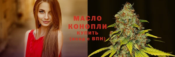 эйфоретик Горняк