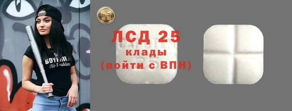стаф Горнозаводск