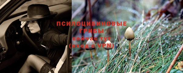 стаф Горнозаводск
