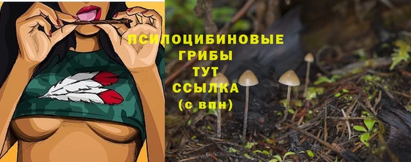 mix Горно-Алтайск